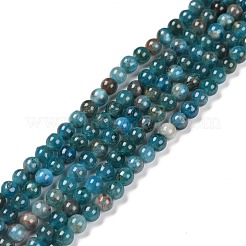 Natural Apatite Beads Strands&nbsp;G-D856-01-4mm
