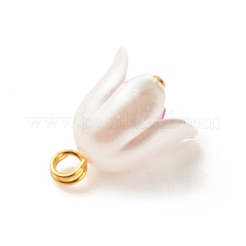 Spray Painted ABS Plastic Imitation Pearl Charms&nbsp;PALLOY-JF01603-04