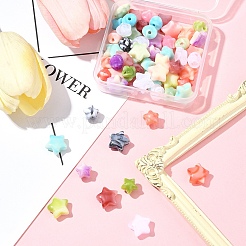 60Pcs 2 Styles Opaque Imitation Gemstone Acrylic Beads&nbsp;OACR-FS0001-85