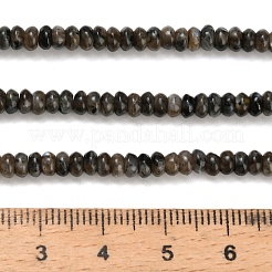 Natural Larvikite Beads Strands&nbsp;G-Z110-B19-2x4mm