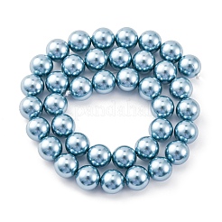 Shell Pearl Beads Strands&nbsp;BSHE-K015-10mm-02