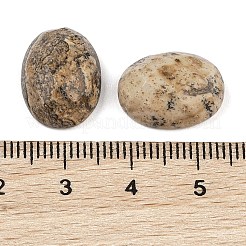 Natural Picture Jasper Cabochons&nbsp;G-Q186-01B