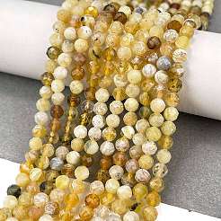 Natural Yellow Opal Beads Strands&nbsp;G-L597-C05-02