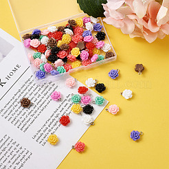 Opaque Resin Pendants&nbsp;RESI-CD0001-02