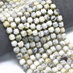 Natural White African Opal Beads Strands&nbsp;G-K389-A35-01