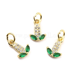 Brass Micro Pave Cubic Zirconia Charms&nbsp;KK-A156-10G-RS