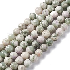 Natural Peace Jade Beads Strands&nbsp;G-G905-07
