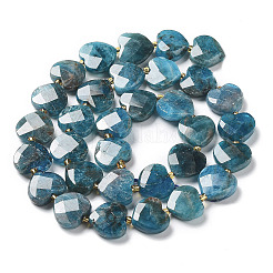 Natural Apatite Beads Strands&nbsp;G-B044-B06-01