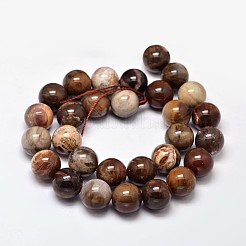 Natural Petrified Wood Round Bead Strands&nbsp;G-F266-08-12mm