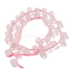Natural Rose Quartz Beads Strands&nbsp;G-H297-B08-02
