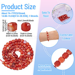 1 Strand Dyed Natural Red Banded Agate/Striped Agate Beads Strands&nbsp;G-TA0003-36