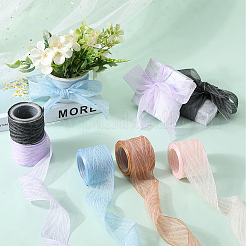Polyester Pleated Ribbons&nbsp;SRIB-WH20020-005E