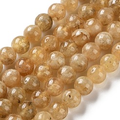 Natural Yellow Garnet Beads Strands&nbsp;G-Z129-C01-7mm-01