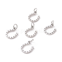 Tarnish Resistant 304 Stainless Steel Charms&nbsp;STAS-S105-T519S