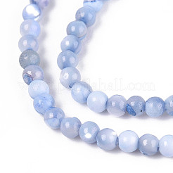 Dyed Natural Trochid Shell/Trochus Shell Beads Strands&nbsp;SSHEL-T017-13A