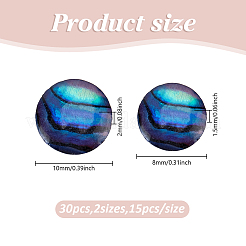 30Pcs 2 Styles Abalone Shell/Paua Shell Cabochons&nbsp;SSHEL-HY0001-11