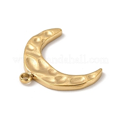 Ion Plating 304 Stainless Steel Pendants&nbsp;STAS-H165-18G