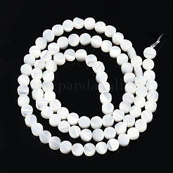 Natural Trochus Shell Beads Strands&nbsp;SSHEL-N034-165