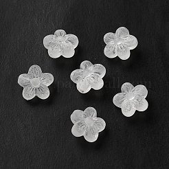 Transparent Acrylic Beads&nbsp;LS-OACR-L013-006