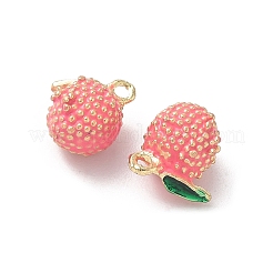 Alloy Enamel Charms&nbsp;FIND-C074-02B