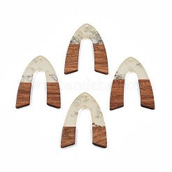 Transparent Resin & Walnut Wood Pendants&nbsp;RESI-N025-029-A02