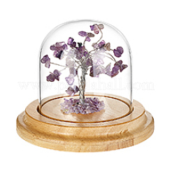 Clear Glass Cloche Dome Display Cases&nbsp;DIY-PH0028-89B
