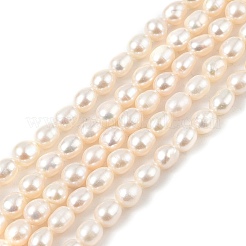 Natural Cultured Freshwater Pearl Beads Strands&nbsp;PEAR-I007-01A-02A