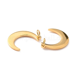 Ion Plating(IP) 316 Surgical Stainless Steel Charms&nbsp;STAS-L265-06G