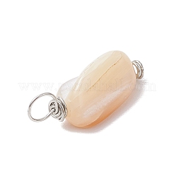 Natural Seashell Nuggets Charms&nbsp;PALLOY-JF02841
