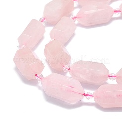 Natural Rose Quartz Beads Strands&nbsp;G-F715-059