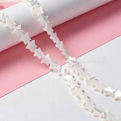 Natural Trochid Shell/Trochus Shell Beads&nbsp;SSHEL-O001-25C-02