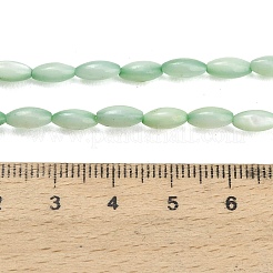 Natural Freshwater Shell Beads Strands&nbsp;X-SHEL-C010-01A