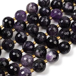 Natural Amethyst Beads Strands&nbsp;G-C249-A04-16mm