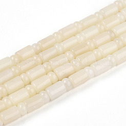 Natural White African Opal Beads Strands&nbsp;G-N346-03A-10