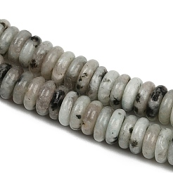 Natural Sesame Jasper Beads Strands&nbsp;G-Q159-B27-01