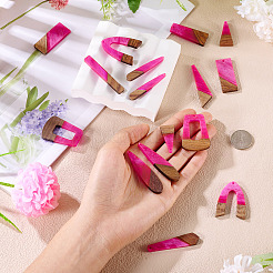 20Pcs 10 Styles Resin & Wood Pendants&nbsp;WOOD-TA0002-67B
