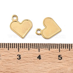 304 Stainless Steel Charms&nbsp;STAS-Z184-18G