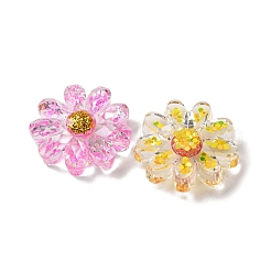 Transparent Resin Cabochons&nbsp;CRES-V001-01