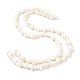 Natural Shell Beads Strands&nbsp;BSHE-D020-01-2