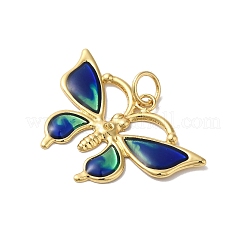 Rack Plating Brass Enamel Pendants&nbsp;KK-G504-04G-01