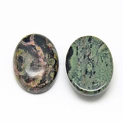 Natural Kambaba Jasper Cabochons&nbsp;G-R450-01
