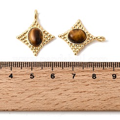 Natural Tiger Eye Pendants&nbsp;KK-Z149-14G-02