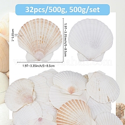 500G Natural Shell Ornaments&nbsp;DJEW-FH0001-35B