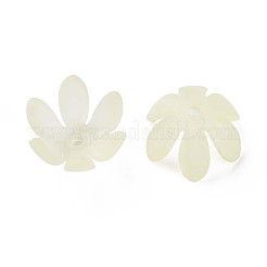Transparent Acrylic Beads&nbsp;MACR-S373-47-D03