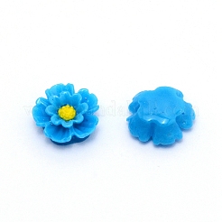 Resin Cabochons&nbsp;RESI-WH0024-63