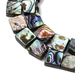 Natural Paua Shell Beads Strands&nbsp;BSHE-ZX006-07A