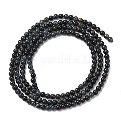 Natural Blue Tiger Eye Beads Strands&nbsp;G-Z116-A08-2mm