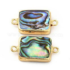 Natural Paua Shell Connector Charms&nbsp;PEAR-P004-40KCG