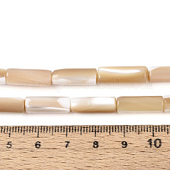 Natural Trochid Shell/Trochus Shell Beads Strands&nbsp;BSHE-T014-06B