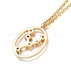 Colorful Cubic Zirconia Constellation Pendant Necklace&nbsp;NJEW-H166-01E